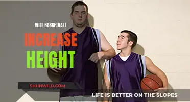 Does Basketball Make You Taller? Height and Hoops Explored