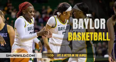 Baylor Basketball: Will They Rise Again?