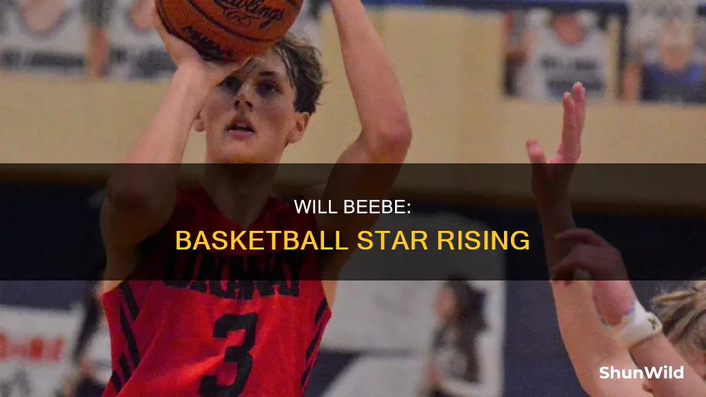 will beebe basketball