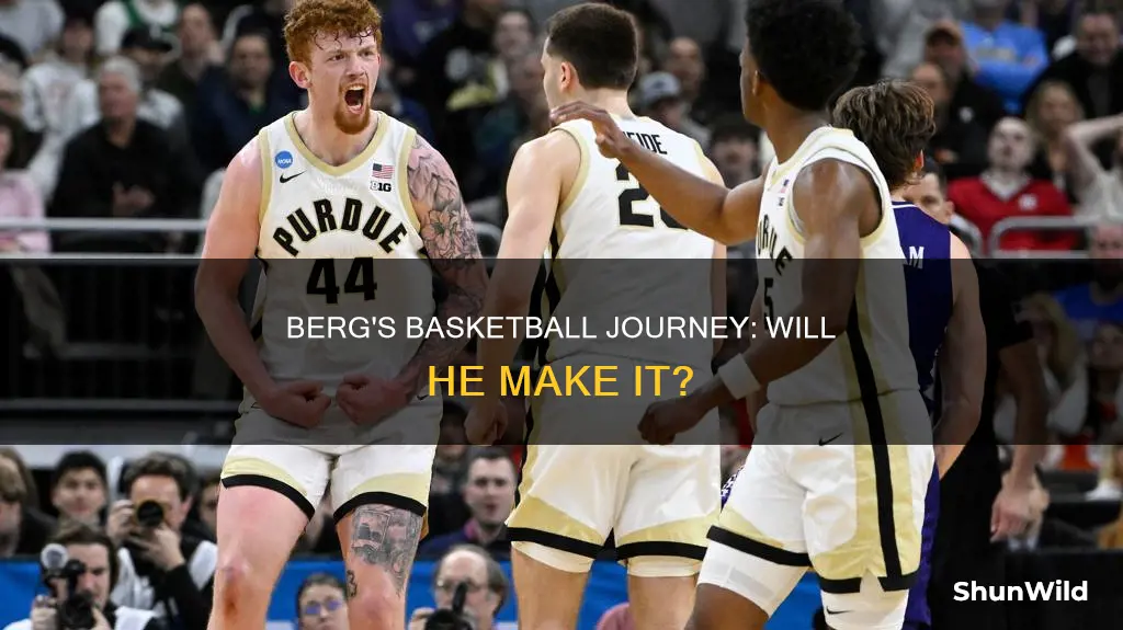 will berg basketball