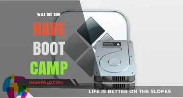 Big Sur and Boot Camp: Compatibility and Future Possibilities Explored