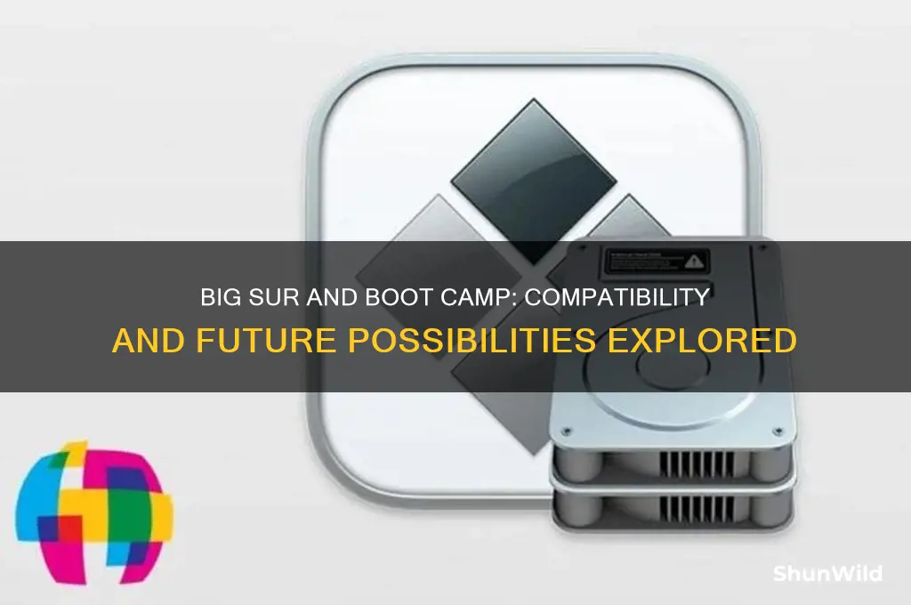will big sur have boot camp