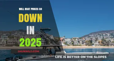 Will Boat Prices Drop in 2025? Expert Insights