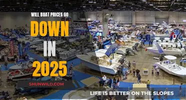 Boat Prices: Will They Dip in 2025?