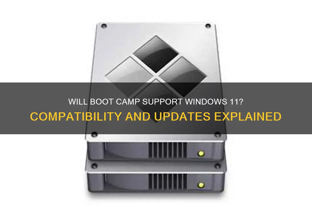 will boot camp support windows 11
