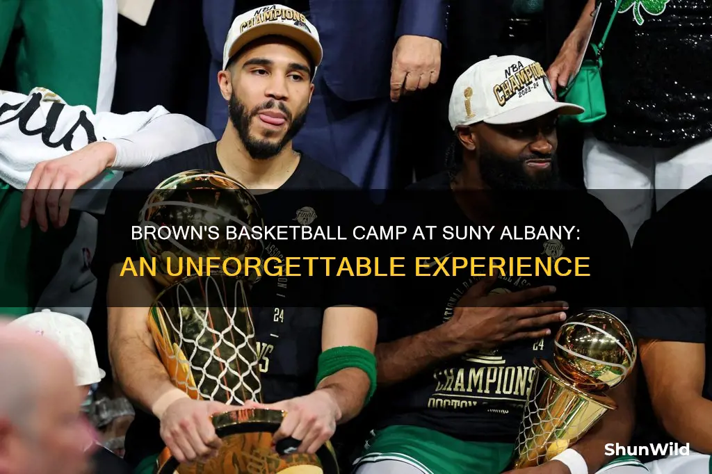 will brown basketball camp suny albany