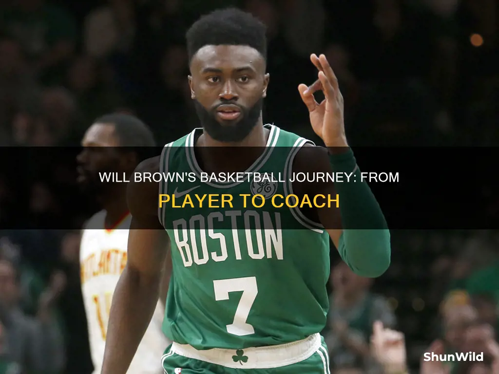 will brown basketball