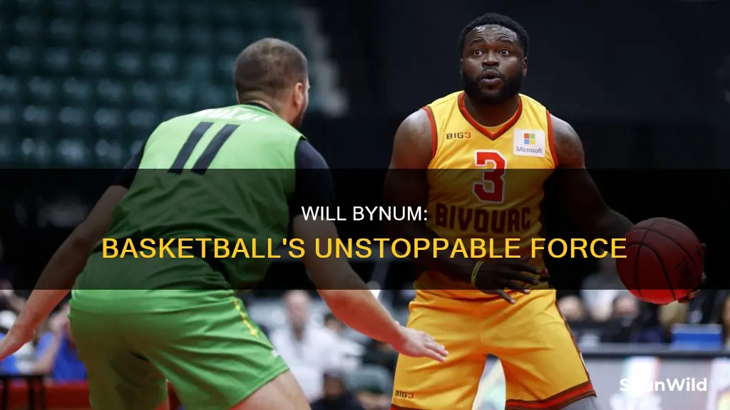 will bynum basketball