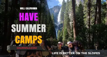 Will California Have Summer Camps: A Comprehensive Guide for Parents