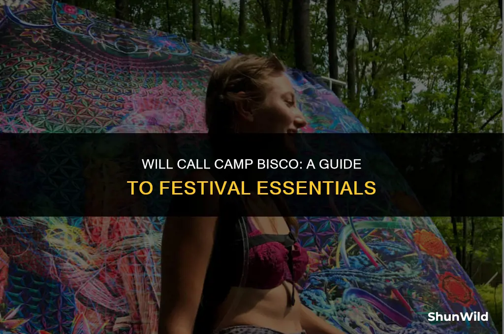 will call camp bisco
