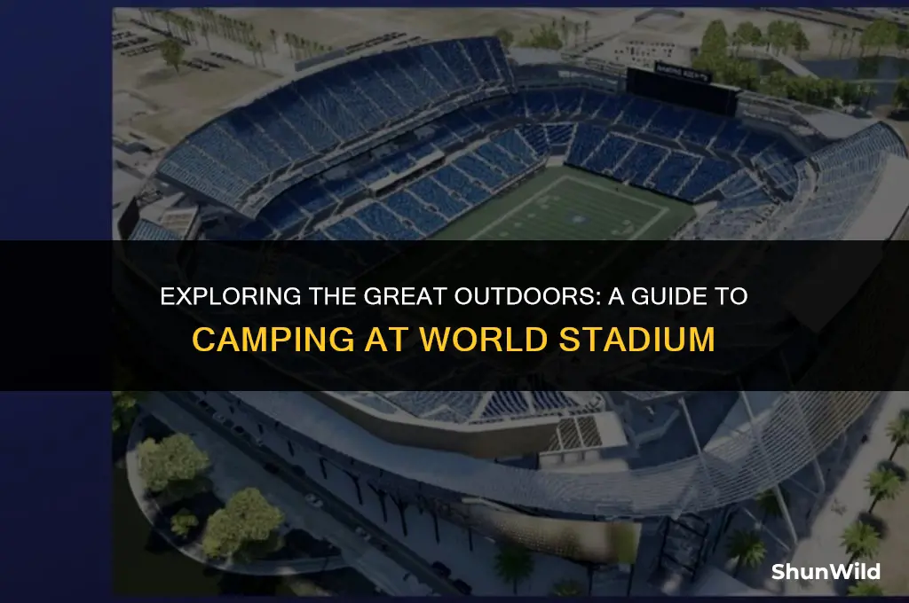 will call camping world stadium
