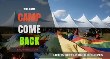 Reviving the Spirit of Camp Camp: A Nostalgic Comeback?