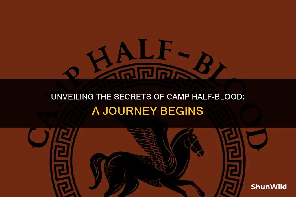 will camp half blood