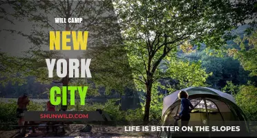 Exploring the Great Outdoors: A Guide to Camping Near New York City