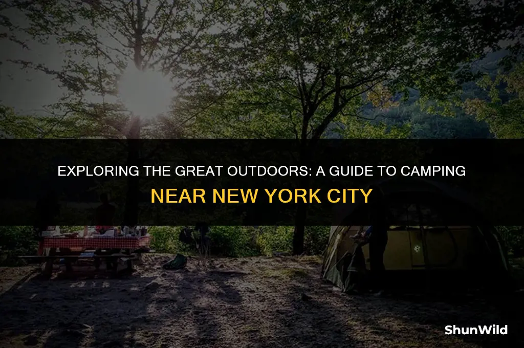 will camp new york city