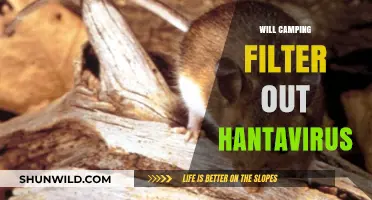 Nature's Shield: Does Camping Really Filter Out Hantavirus?