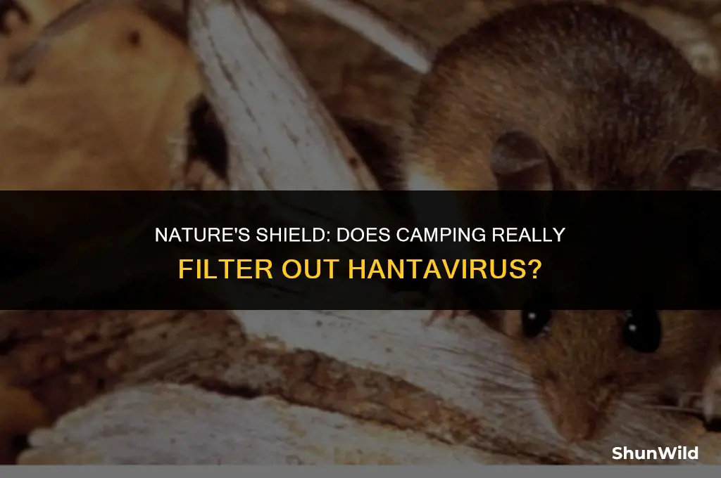 will camping filter out hantavirus