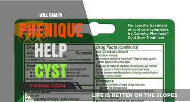 Exploring the Potential Benefits of Campo Phenique for Cyst Management