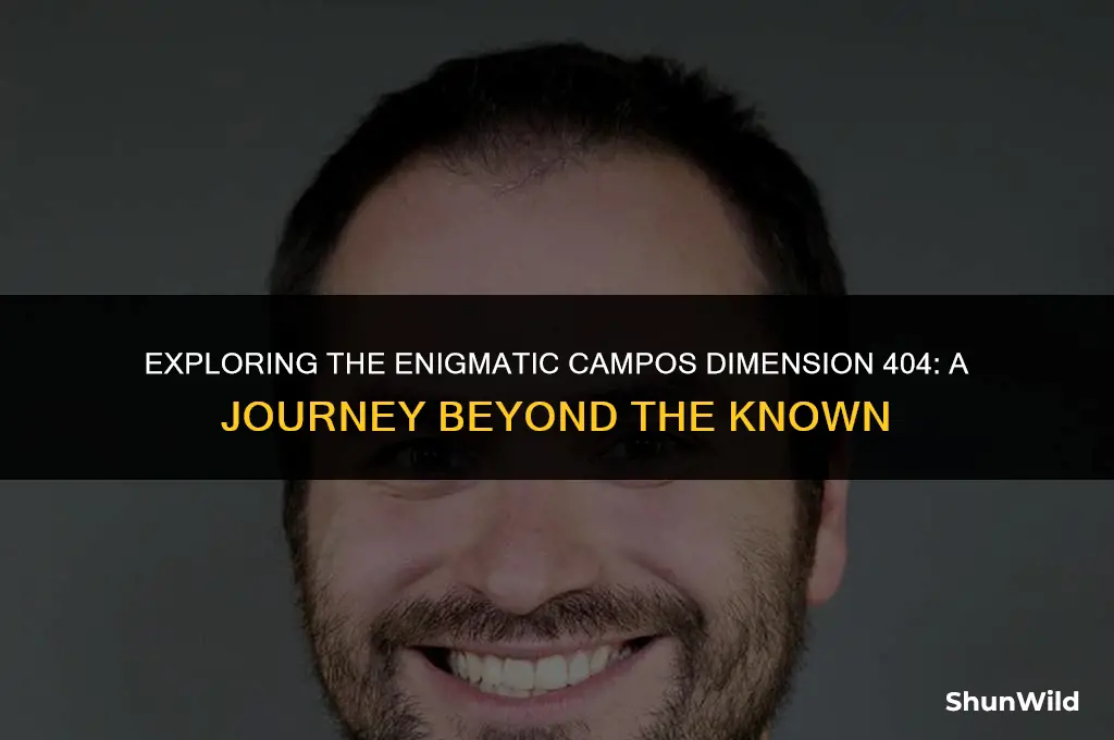 will campos dimension 404
