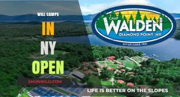 Will Camps in NY Open: Latest Updates and Predictions