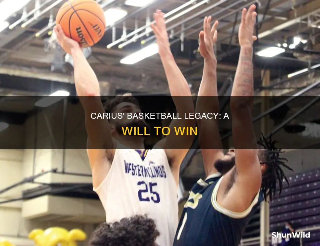 will carius basketball