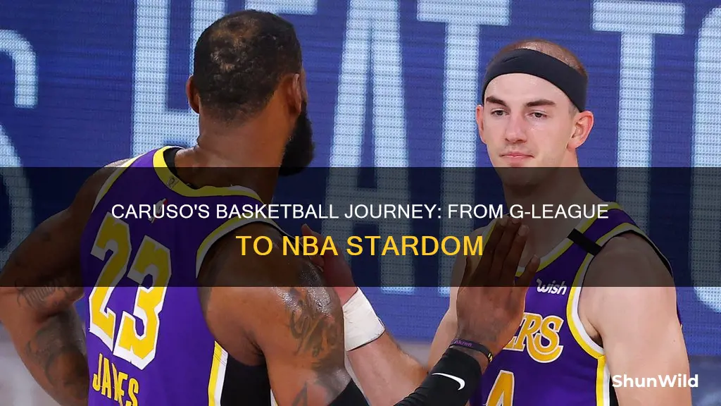 will caruso basketball