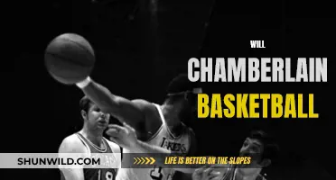 Chamberlain's Basketball Legacy: A Giant's Game