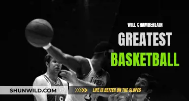 Chamberlain's Legacy: Basketball's Greatest Ever?