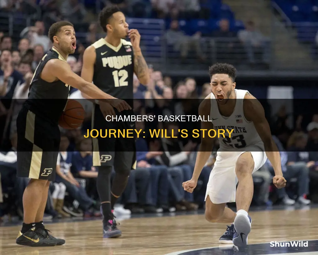 will chambers basketball