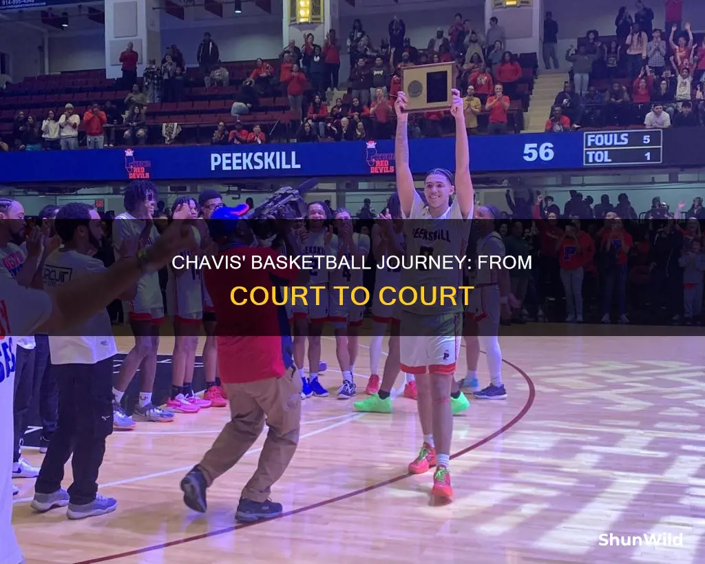 will chavis basketball