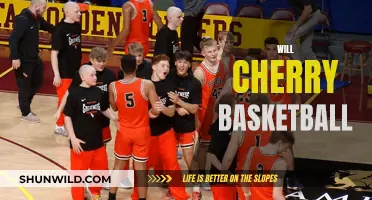 Cherry's Basketball Journey: A Rising Star's Story