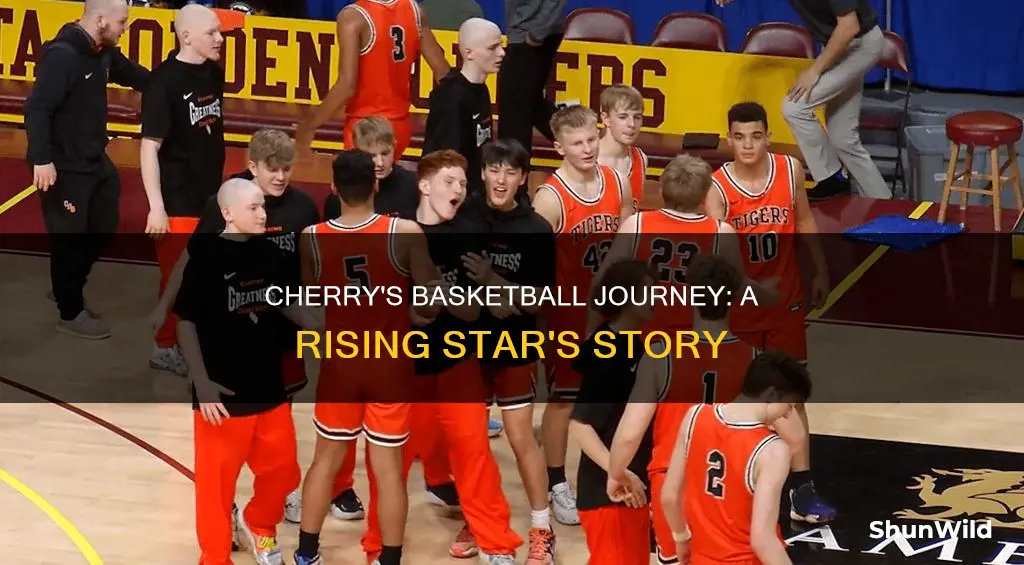 will cherry basketball