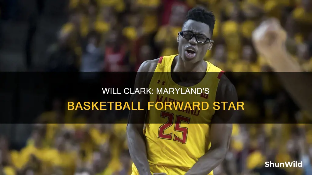 will clark maryland basketball forward