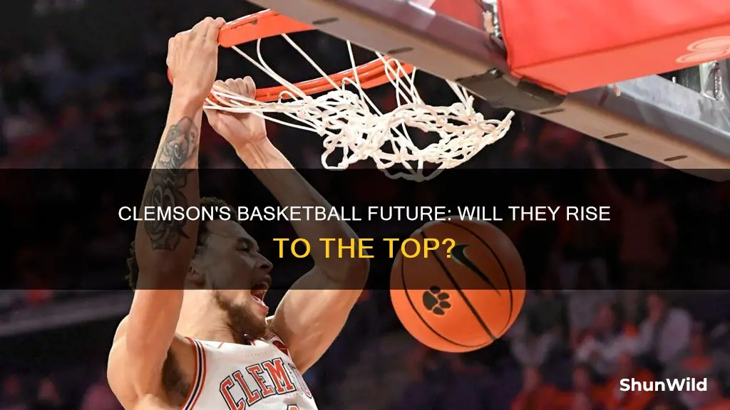 will clemson win basketball