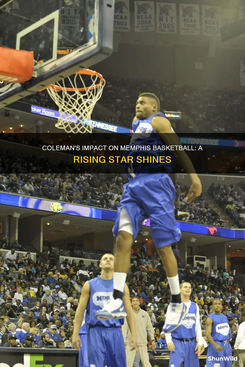will coleman memphis basketball