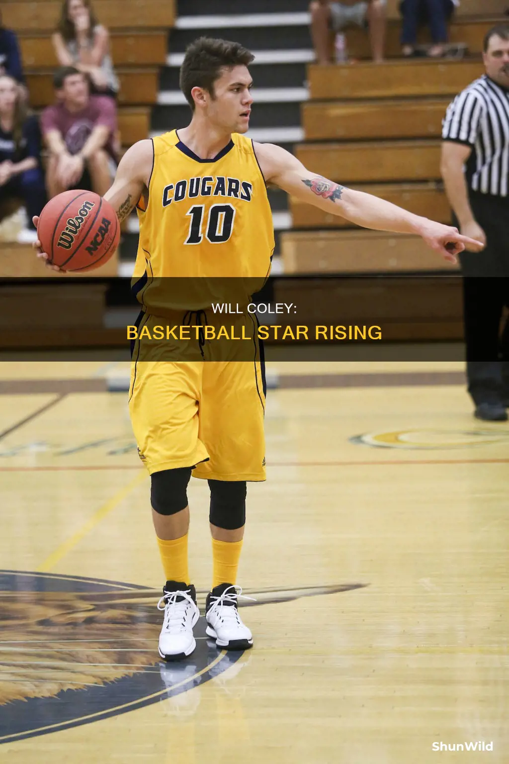 will coley basketball