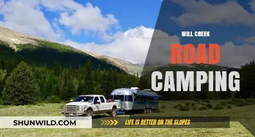 Will Creek Road Camping: Discovering Nature's Hidden Gem