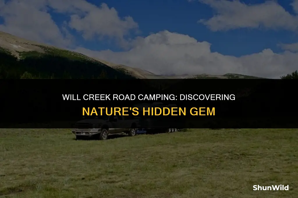 will creek road camping