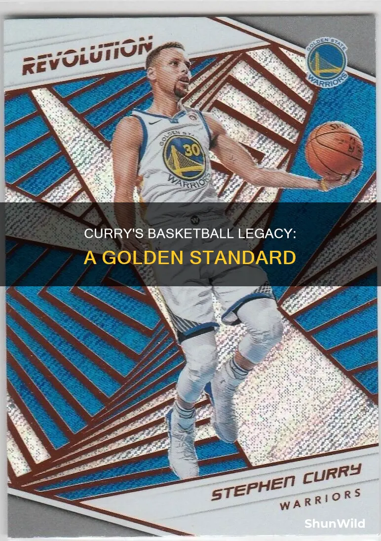 will curry basketball