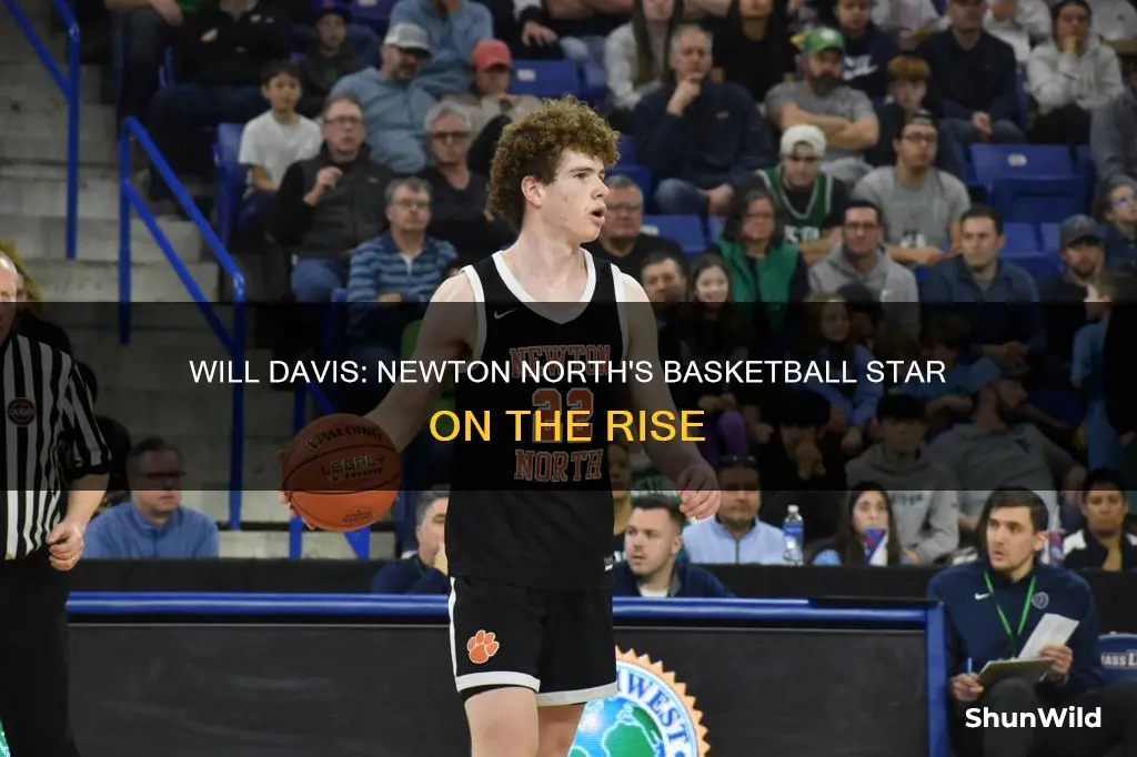 will davis newton north basketball