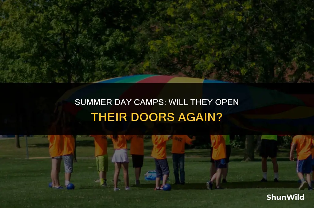 will day camps open