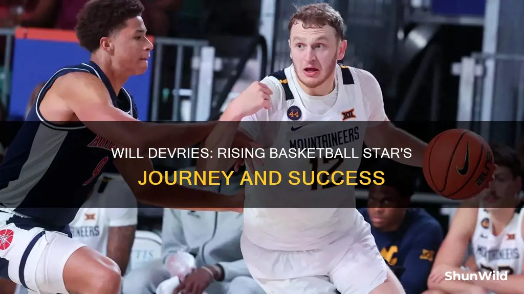 will devries basketball