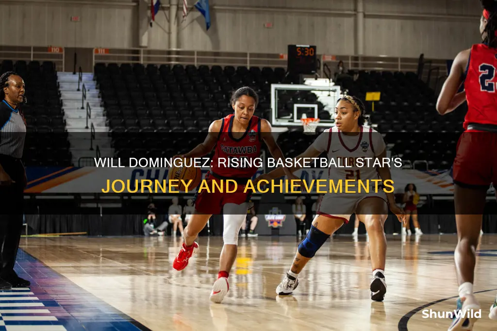 will dominguez basketball