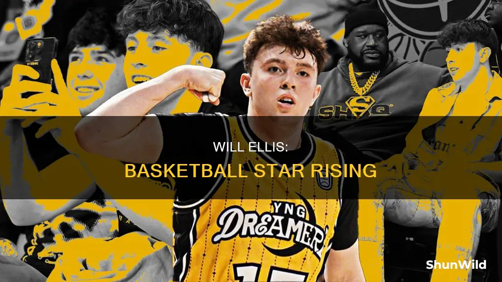 will ellis basketball