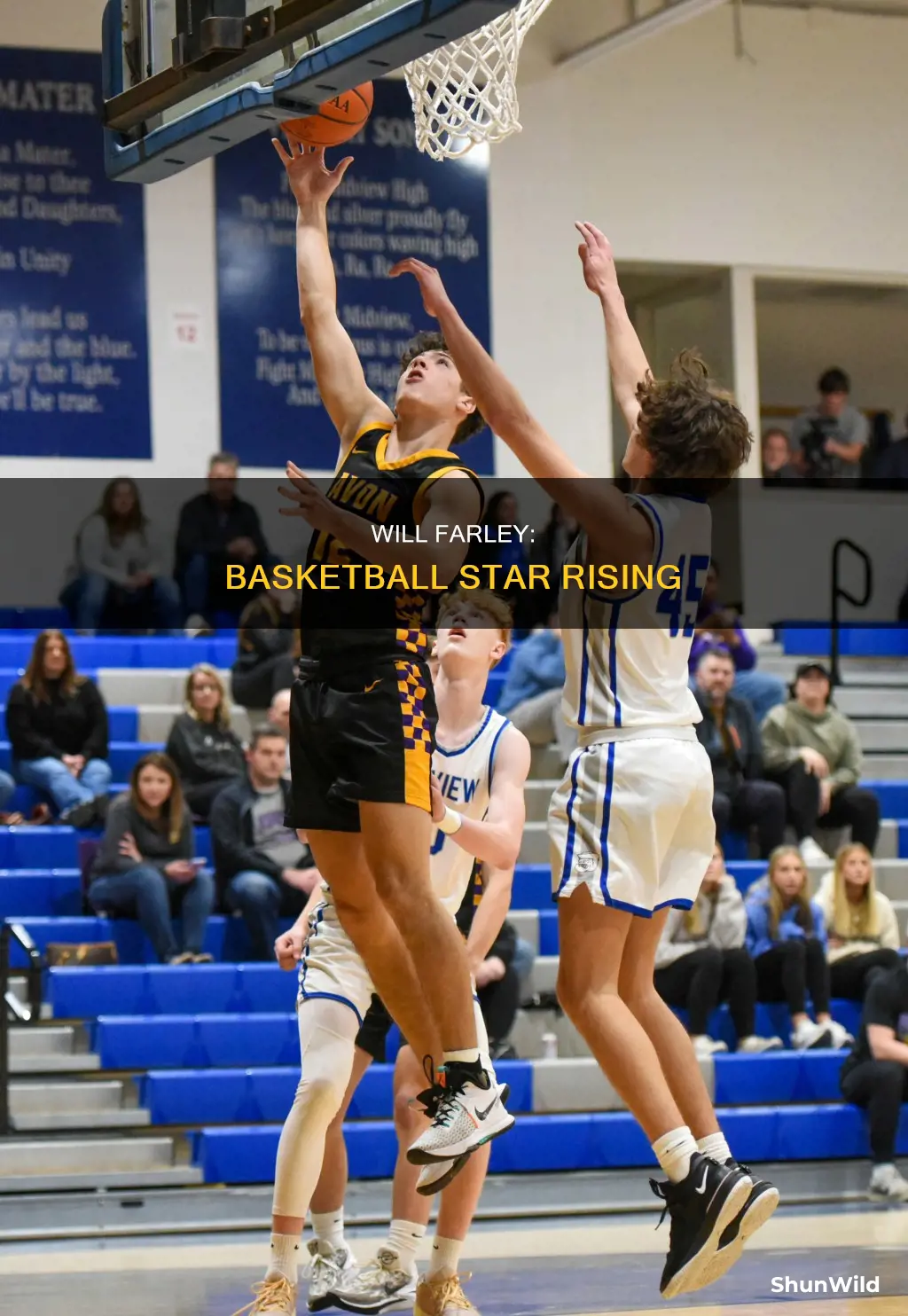 will farley basketball
