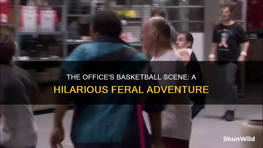 will feral the office basketball scene