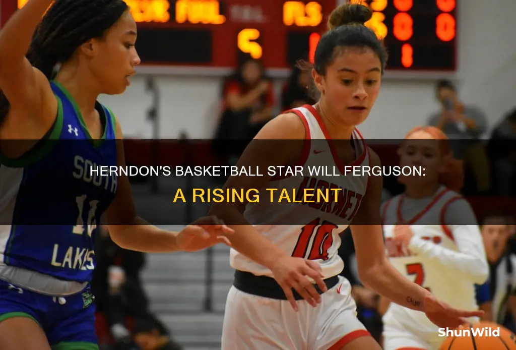 will ferguson herndon basketball