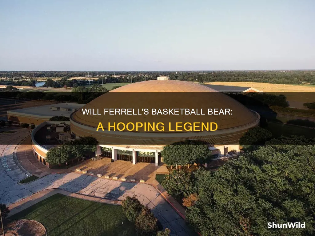 will ferrell basketball bear
