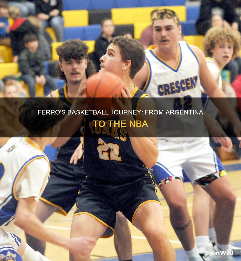 will ferro basketball