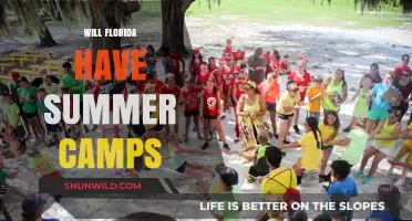 Sunshine and Summer Camps: What's in Store for Florida Kids?